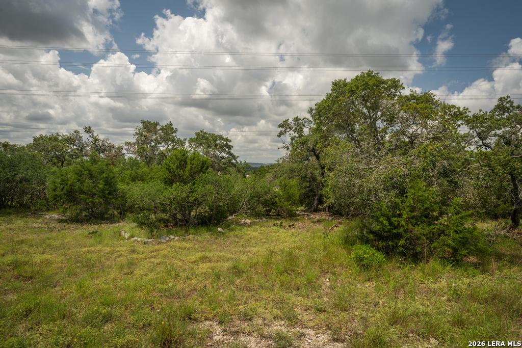 3044 Ridge Crossing Bulverde TX 78163