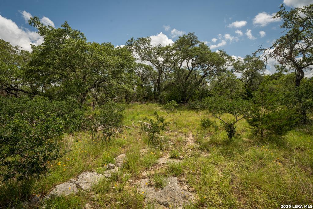 3044 Ridge Crossing Bulverde TX 78163