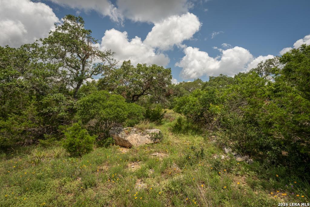 3044 Ridge Crossing Bulverde TX 78163
