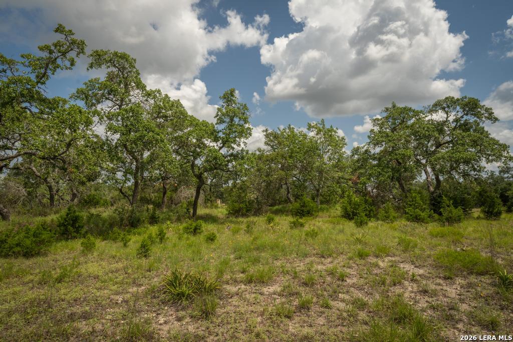 3044 Ridge Crossing Bulverde TX 78163