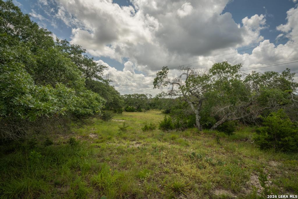 3044 Ridge Crossing Bulverde TX 78163