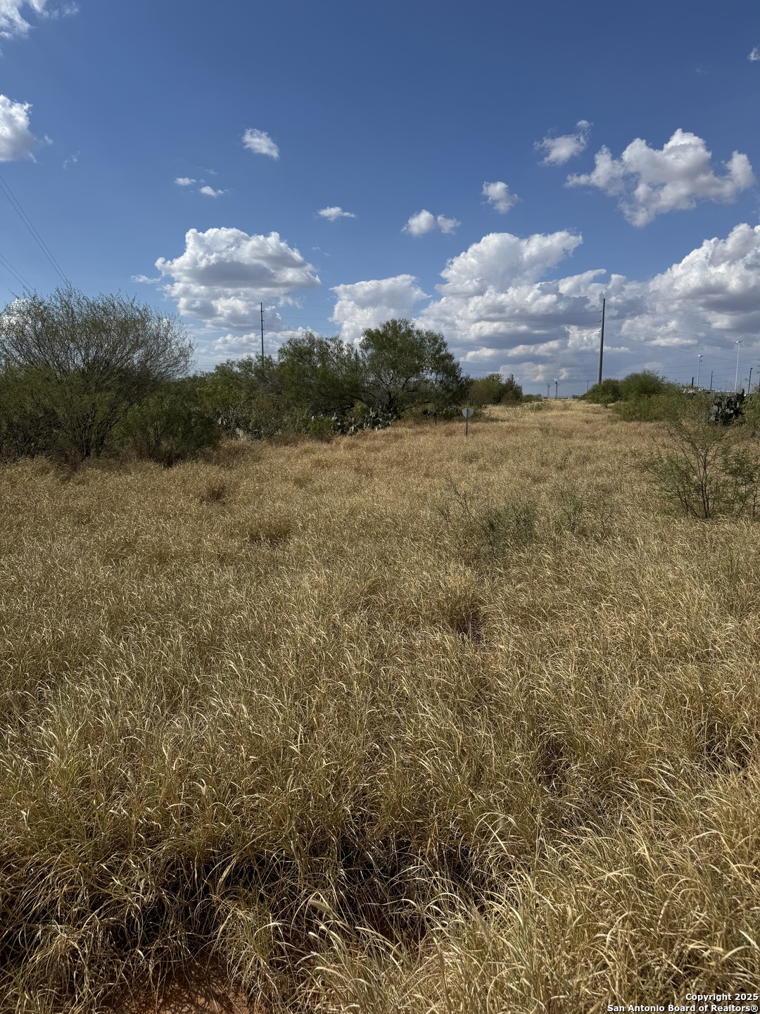 2550 Interstate 35 Cotulla TX 78014
