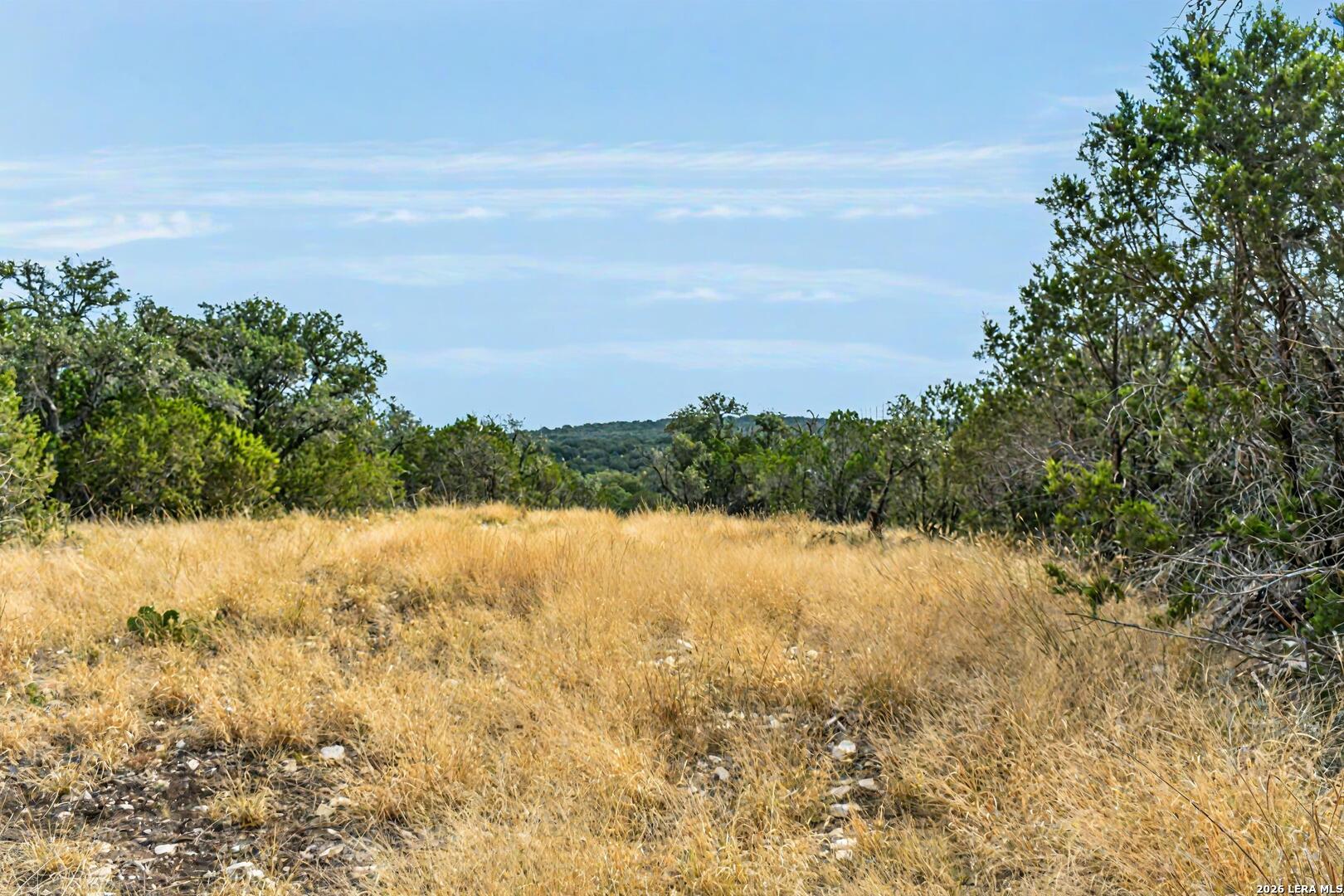 08 W Bison Way Harper TX 78631