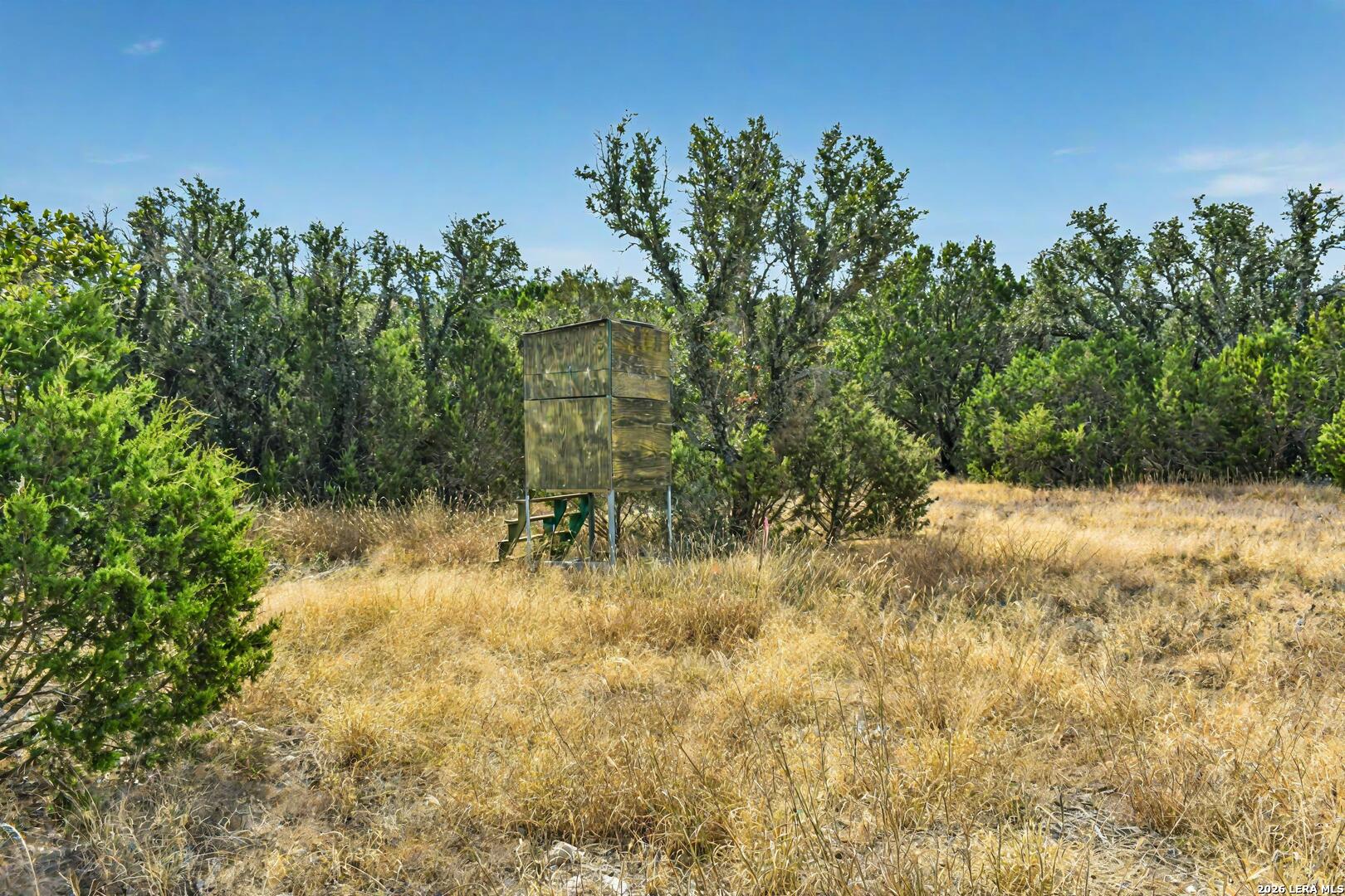 08 W Bison Way Harper TX 78631