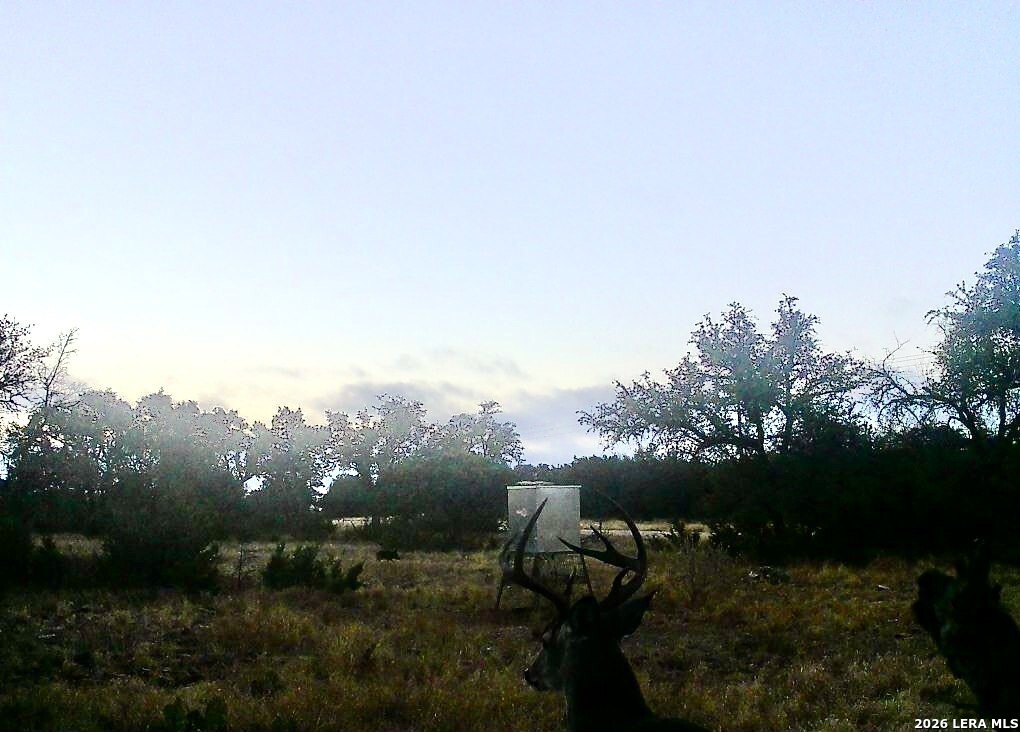 08 W Bison Way Harper TX 78631