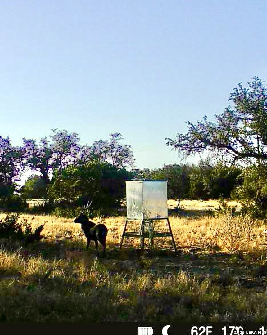 08 W Bison Way Harper TX 78631
