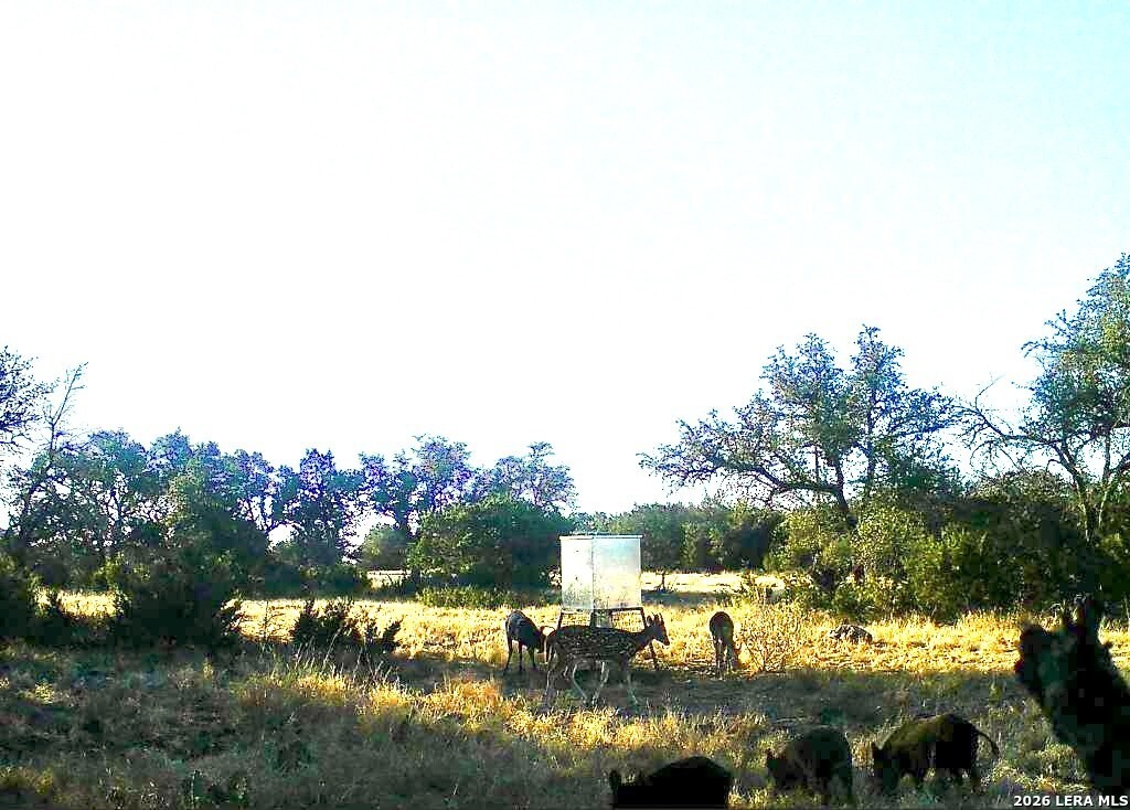 08 W Bison Way Harper TX 78631