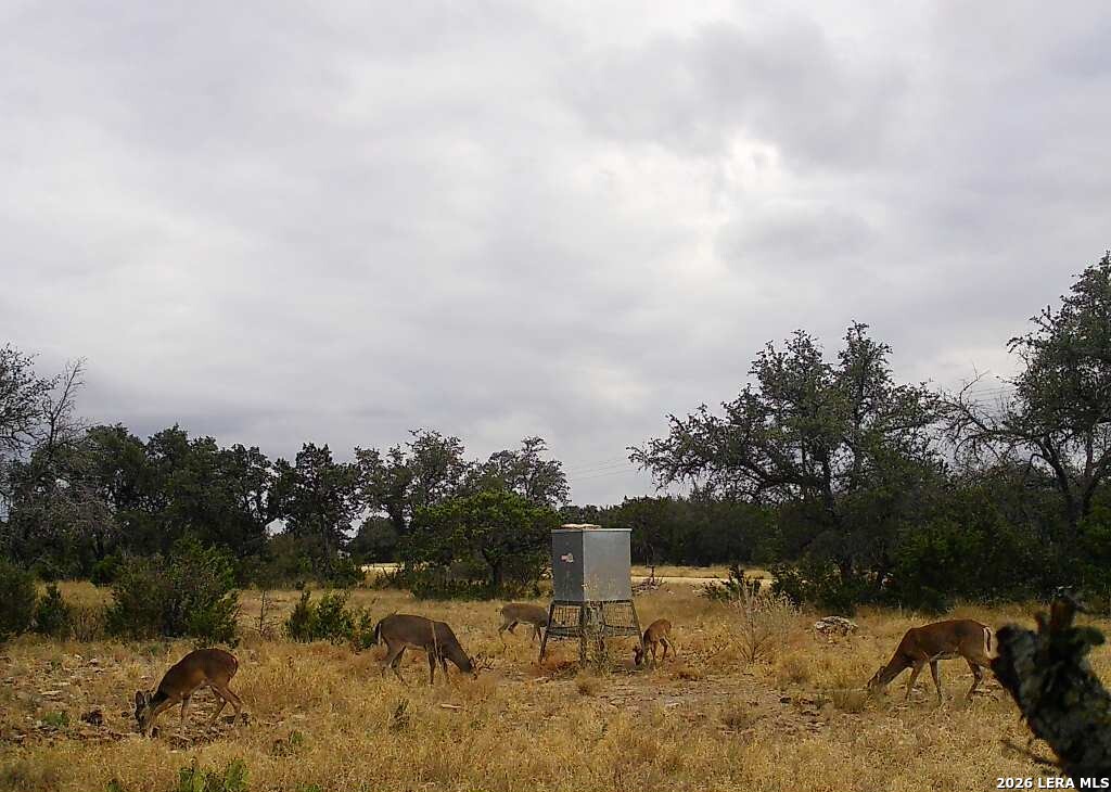 08 W Bison Way Harper TX 78631