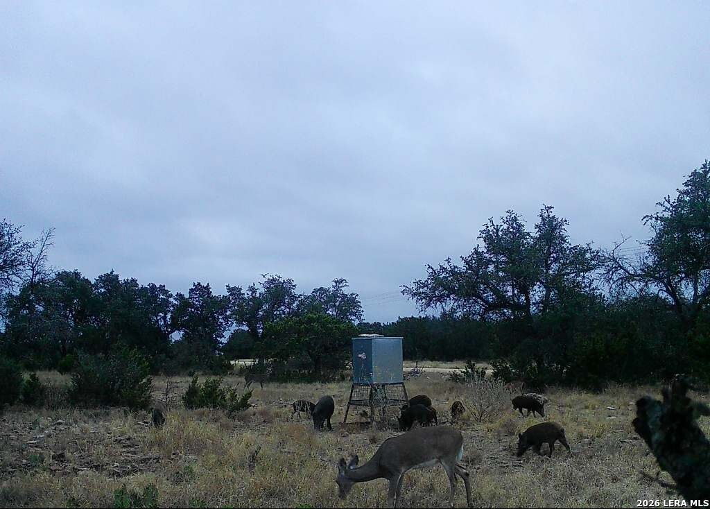 08 W Bison Way Harper TX 78631