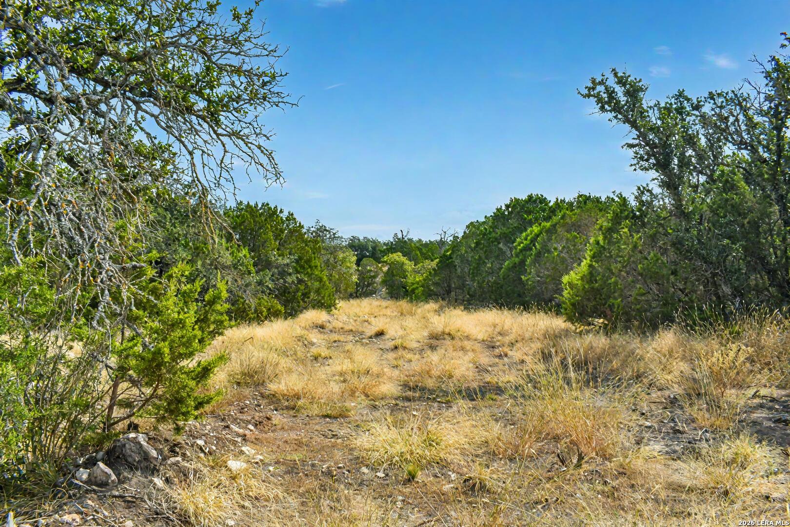 08 W Bison Way Harper TX 78631