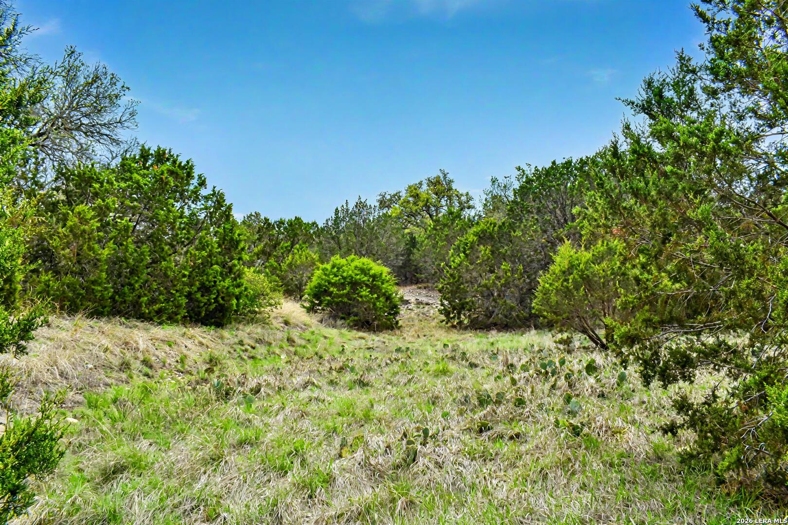 08 W Bison Way Harper TX 78631