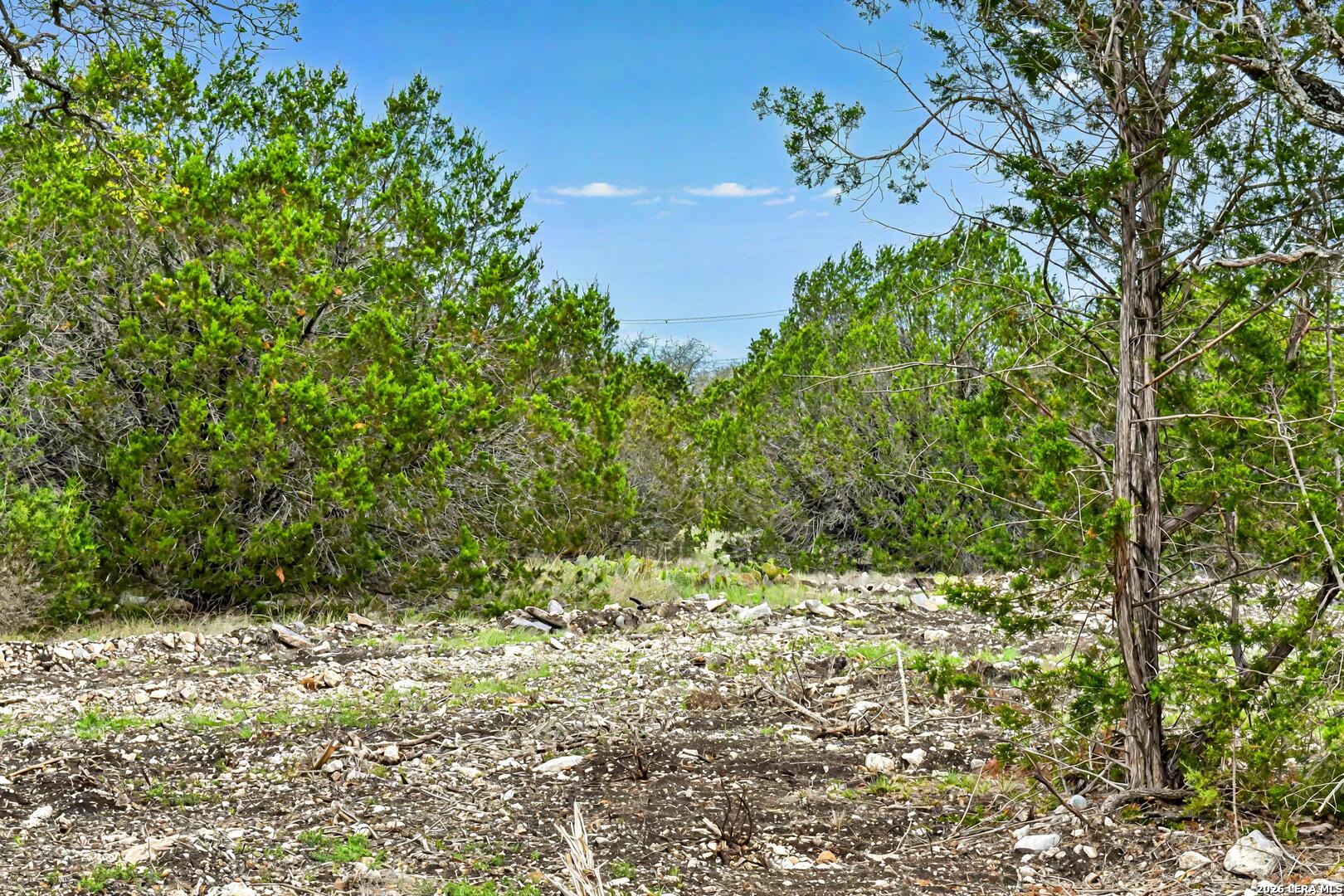 08 W Bison Way Harper TX 78631