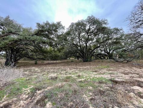 100 Pradera Ridge Floresville TX 78114