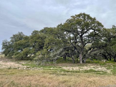 100 Pradera Ridge Floresville TX 78114
