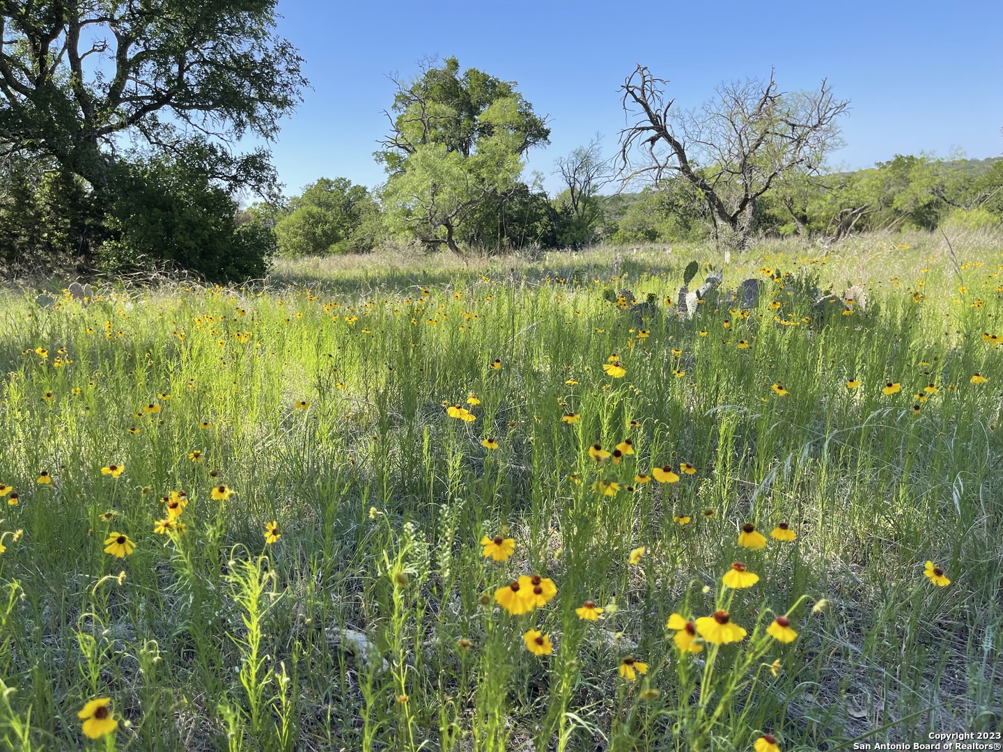 101 Whitetail San Saba TX 76877