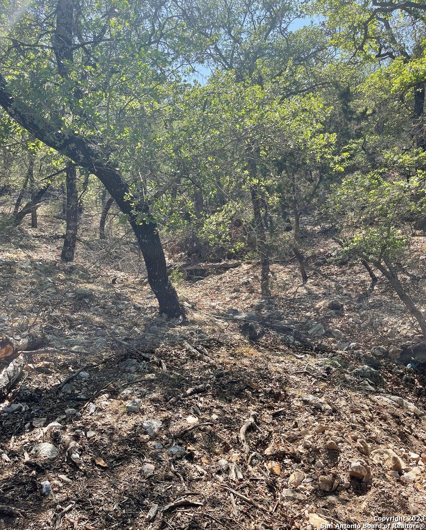 101 Whitetail San Saba TX 76877