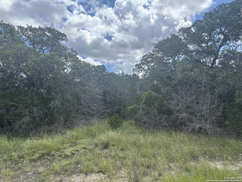 275 Serenity Pass Spring Branch TX 78070