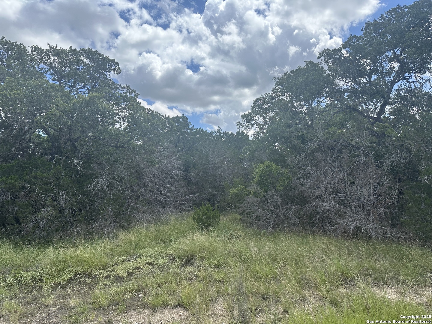 275 Serenity Pass Spring Branch TX 78070