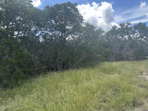 275 Serenity Pass Spring Branch TX 78070