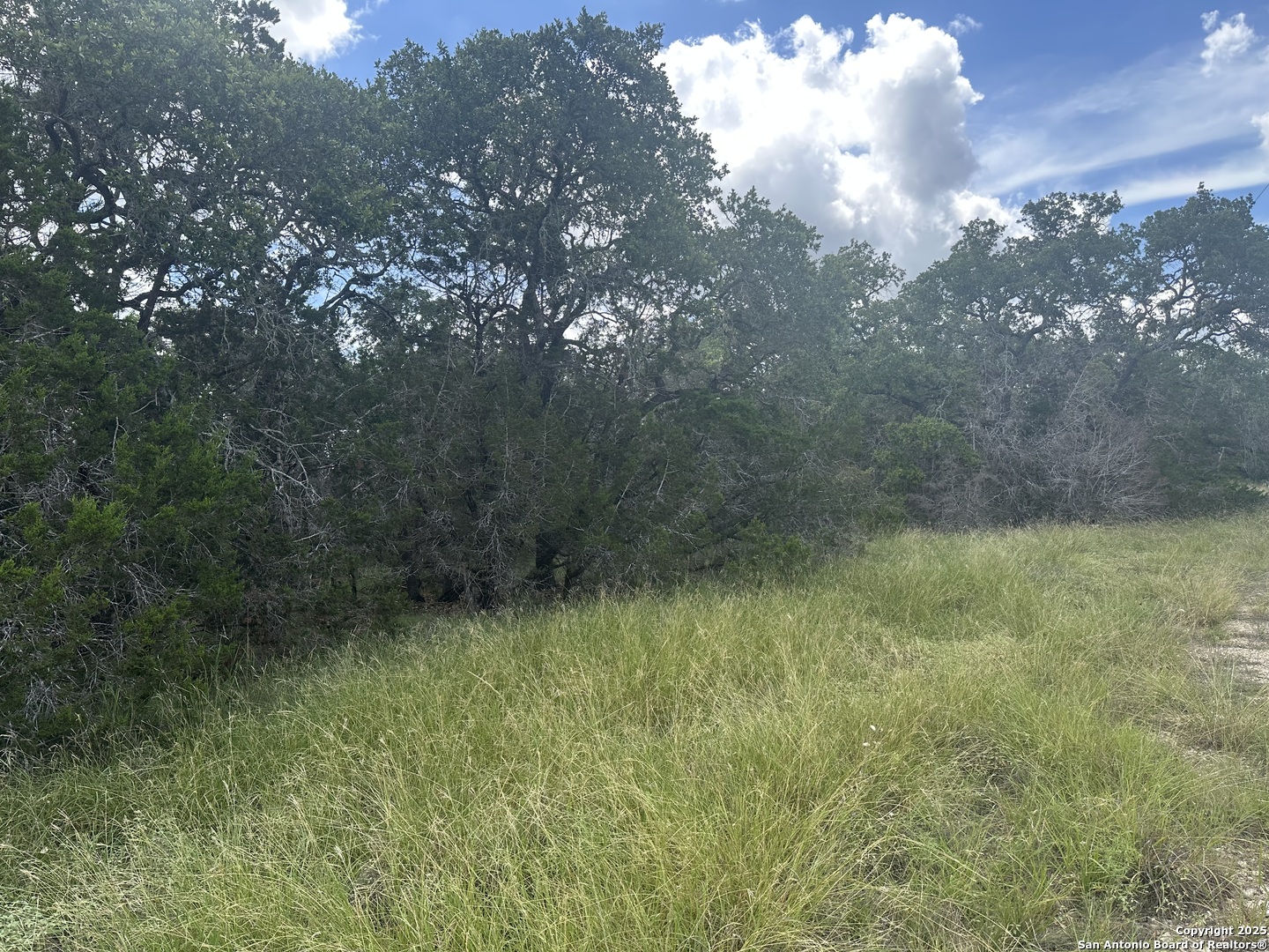 275 Serenity Pass Spring Branch TX 78070