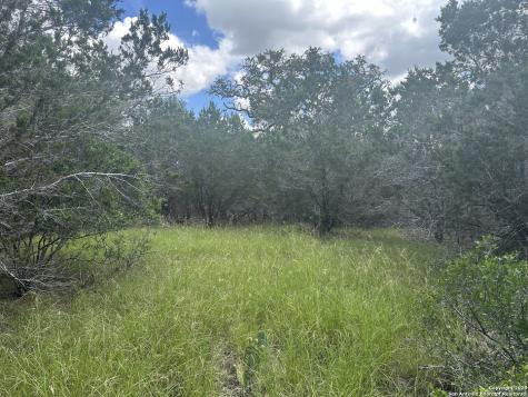 275 Serenity Pass Spring Branch TX 78070