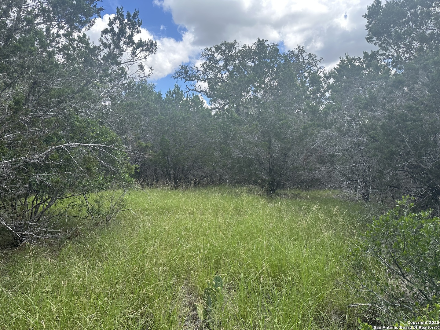 275 Serenity Pass Spring Branch TX 78070