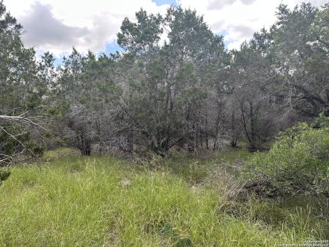 275 Serenity Pass Spring Branch TX 78070