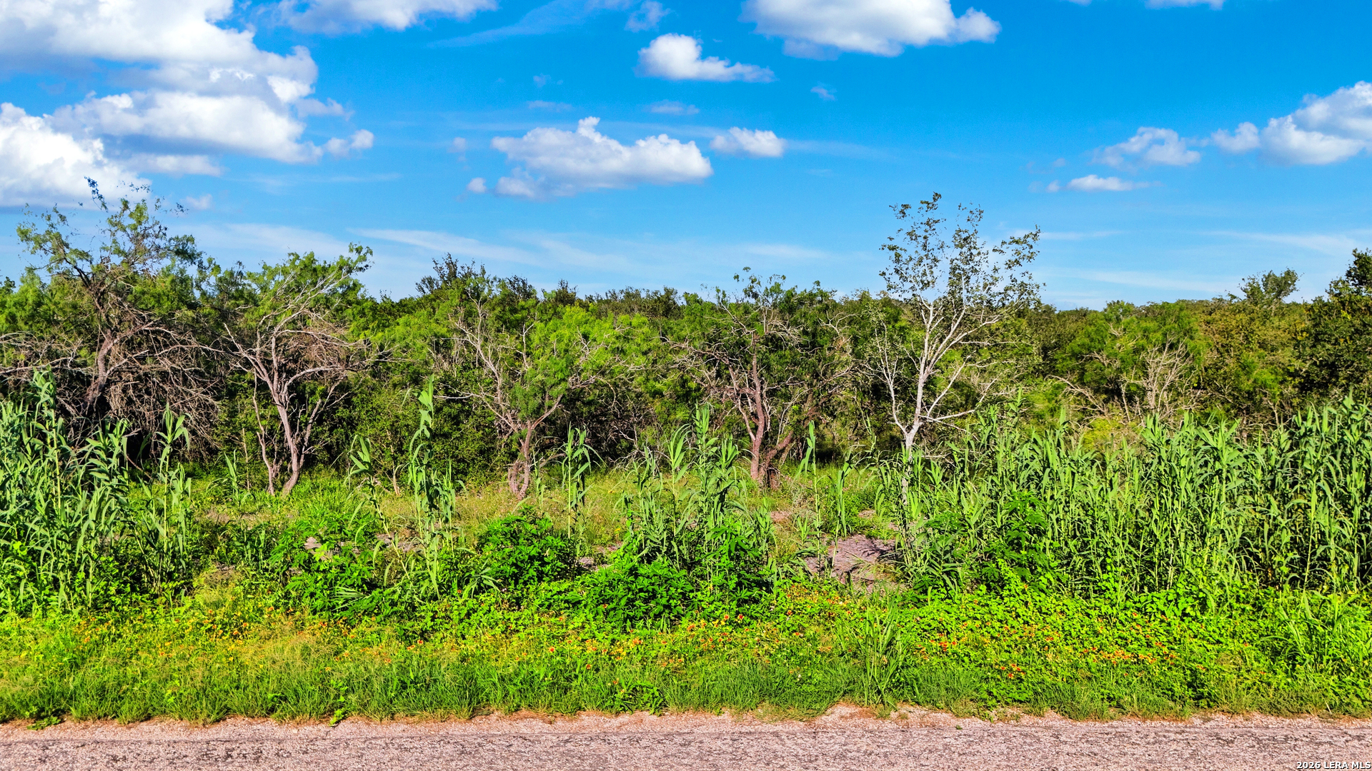 605 Marrou Road (Lot 6) Seguin TX 78155
