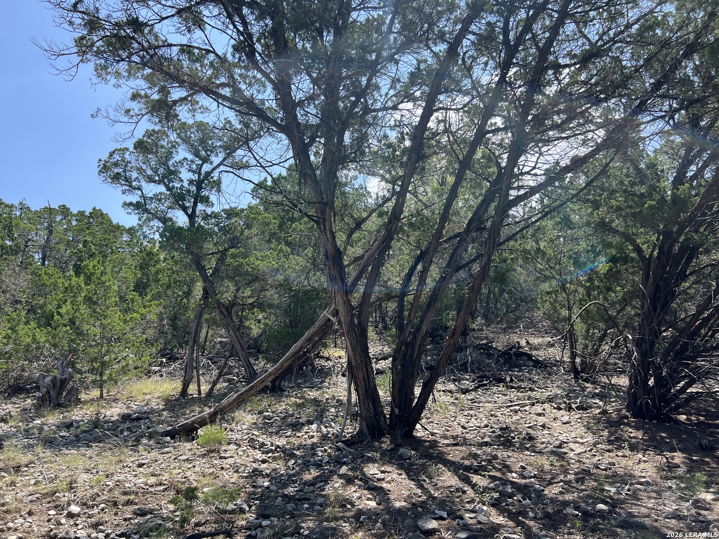 145 E Hunter Pipe Creek TX 78063