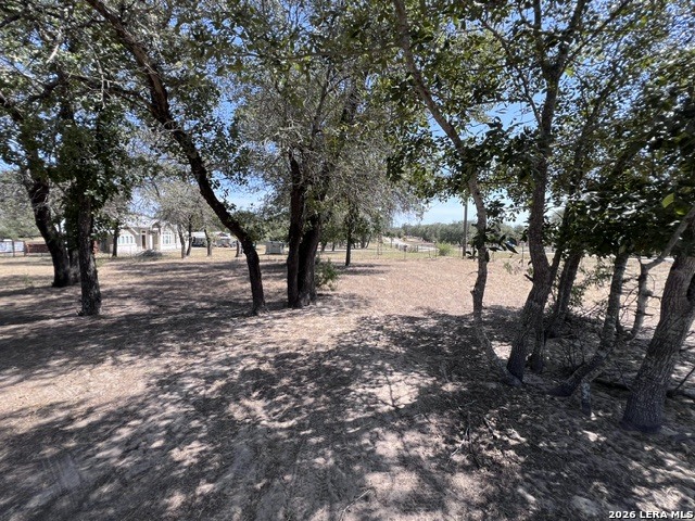 307 County Road 6875 Natalia TX 78059