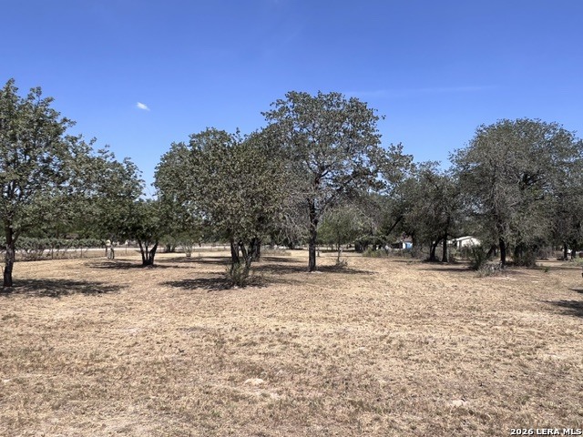 307 County Road 6875 Natalia TX 78059