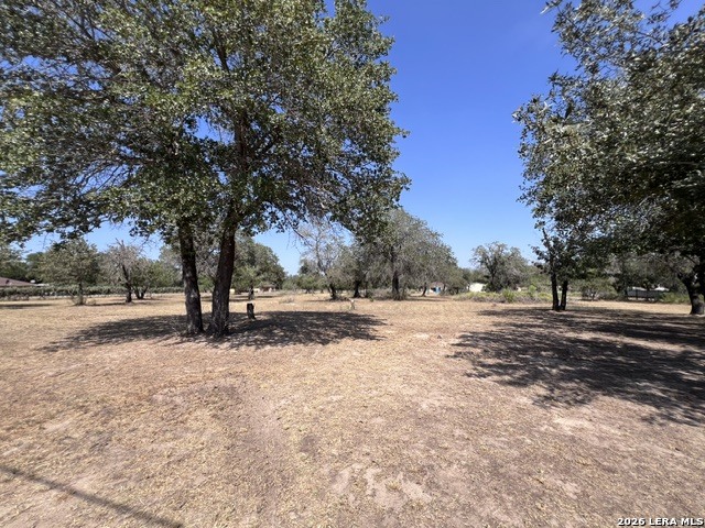 307 County Road 6875 Natalia TX 78059