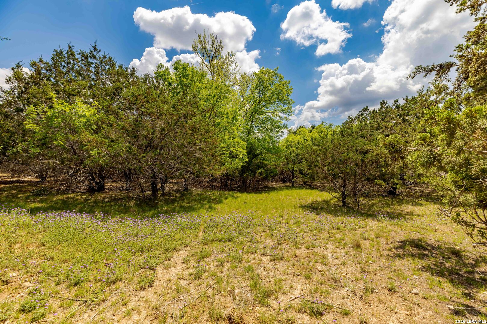 198 Lakeway Drive Kerrville TX 78028
