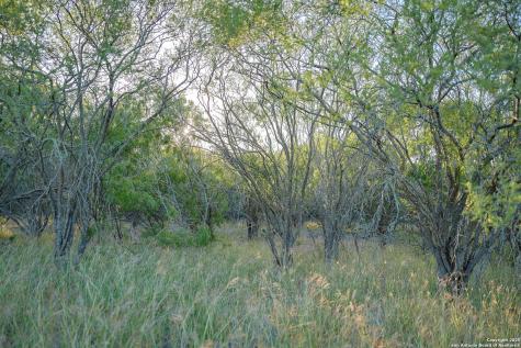 6266 Highway 281 Three Rivers TX 78071