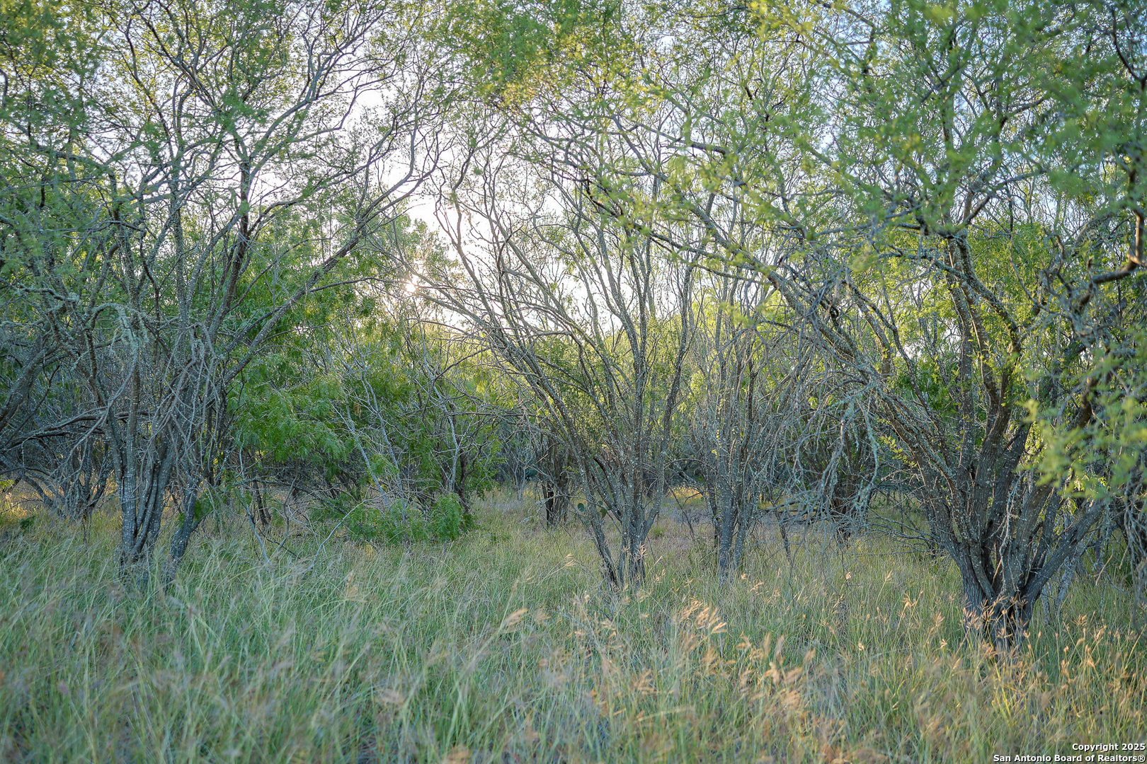 6266 Highway 281 Three Rivers TX 78071