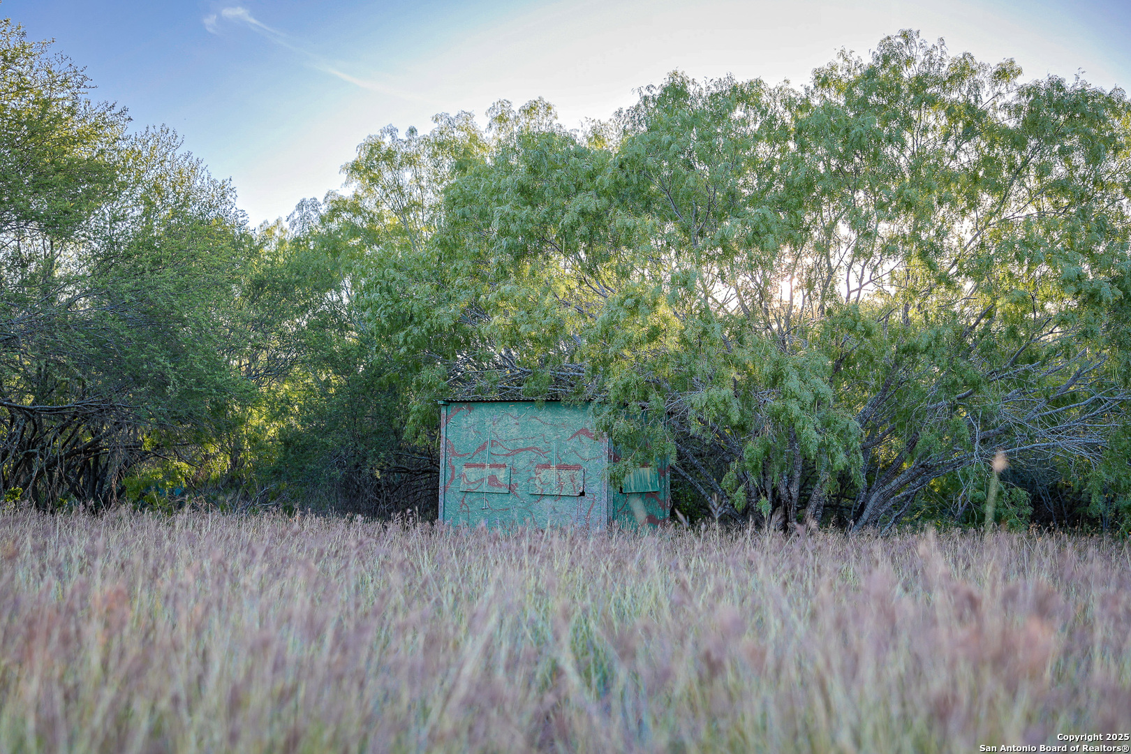 6266 Highway 281 Three Rivers TX 78071