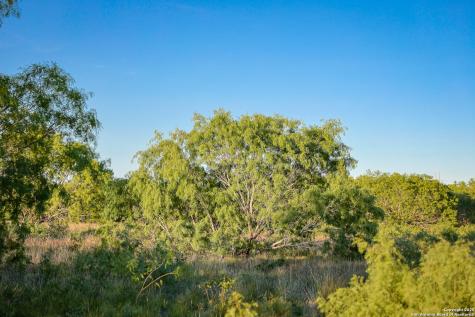6266 Highway 281 Three Rivers TX 78071