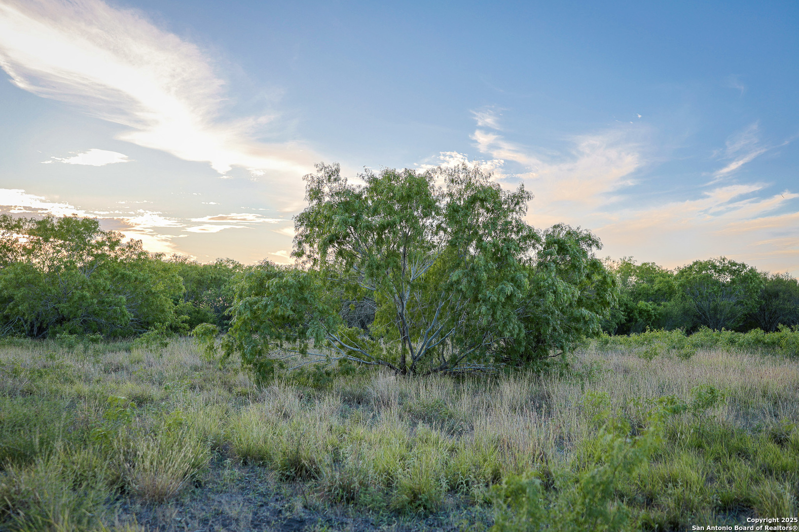 6266 Highway 281 Three Rivers TX 78071