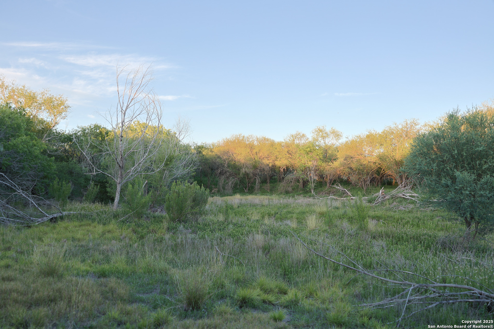 6266 Highway 281 Three Rivers TX 78071