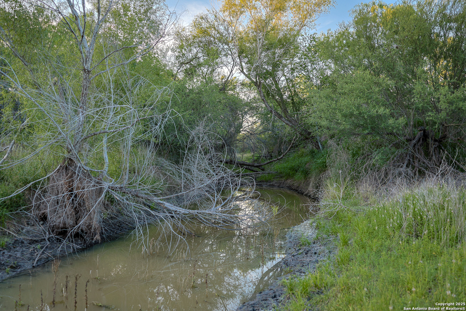 6266 Highway 281 Three Rivers TX 78071