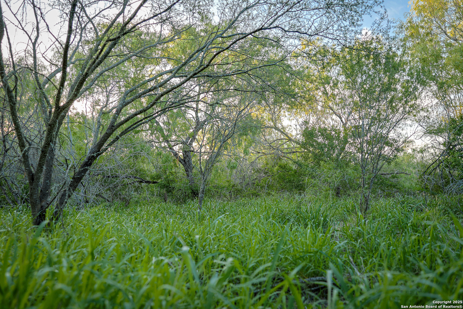 6266 Highway 281 Three Rivers TX 78071