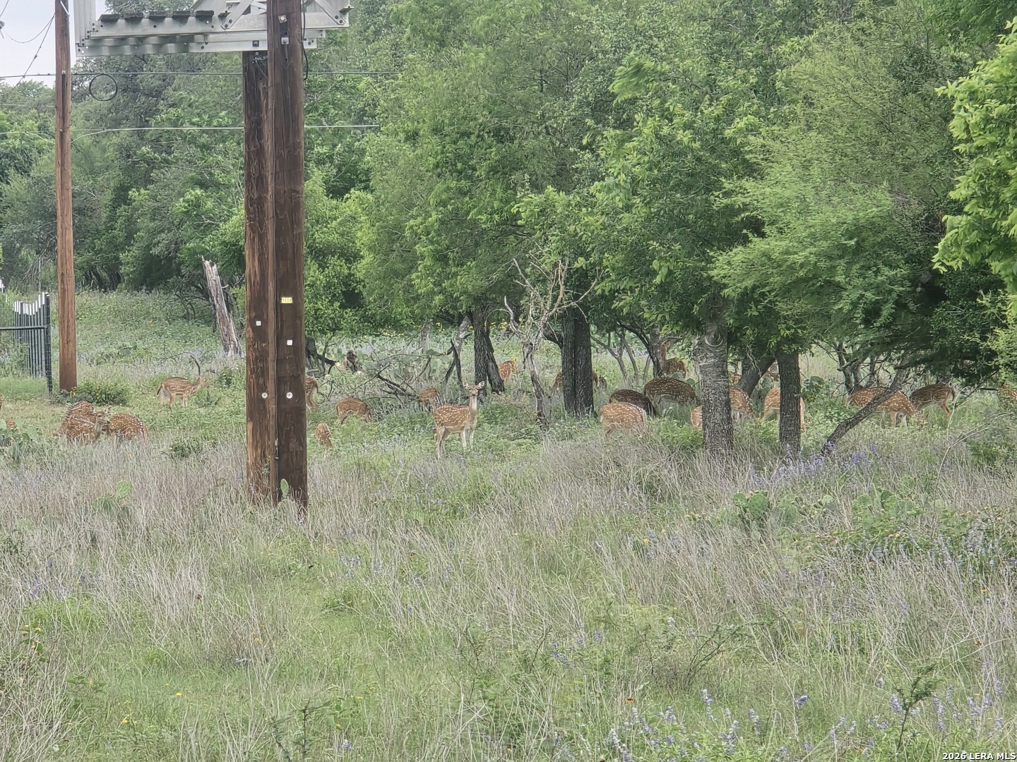 22 Cypress Bandera TX 78003