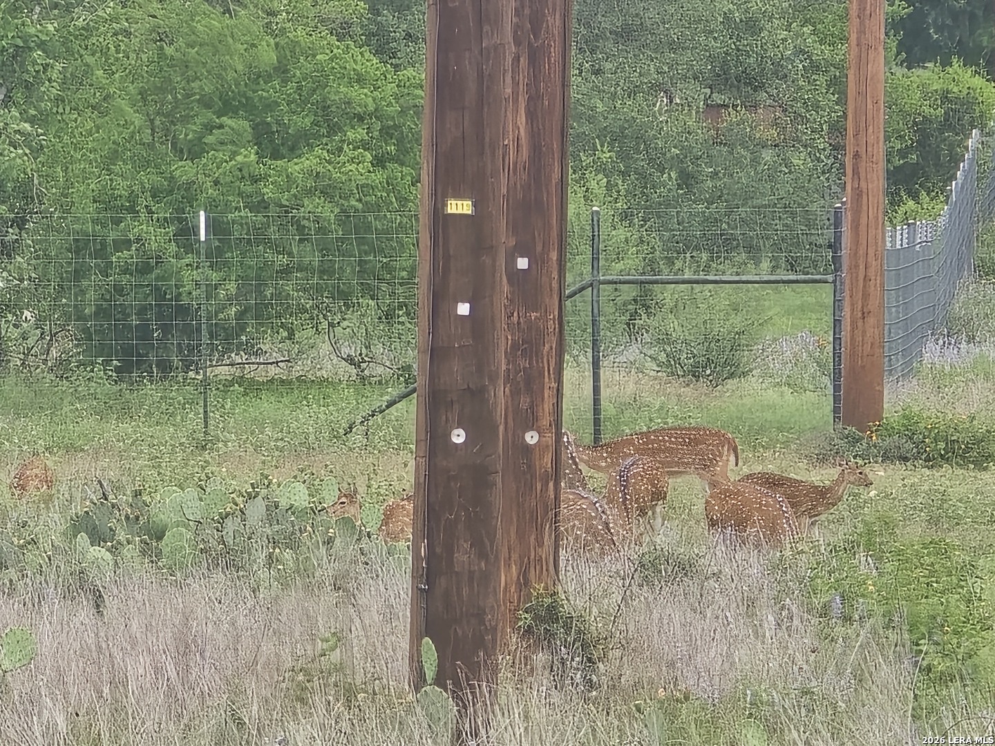 22 Cypress Bandera TX 78003