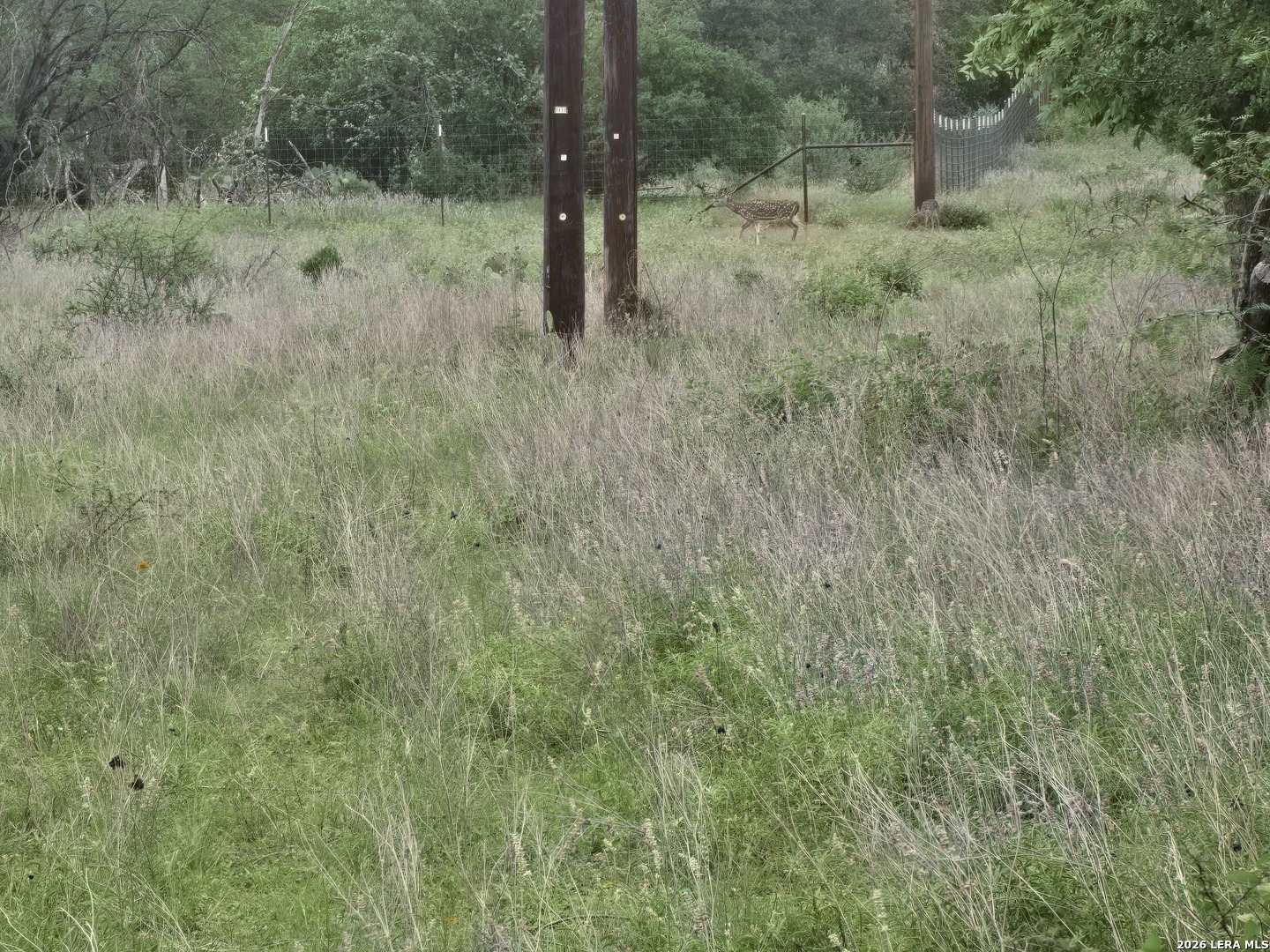 22 Cypress Bandera TX 78003
