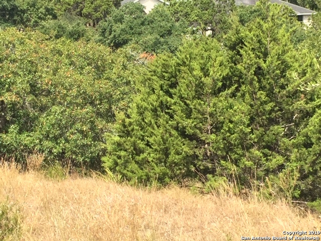 318 Gallagher Drive Canyon Lake TX 78133