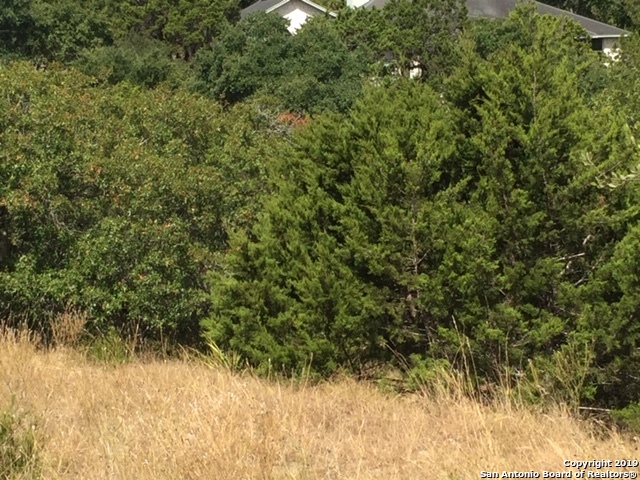 318 Gallagher Drive Canyon Lake TX 78133