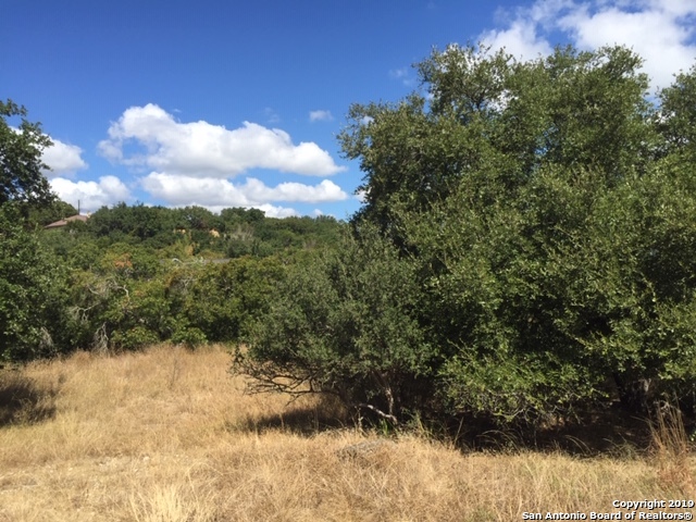 318 Gallagher Drive Canyon Lake TX 78133