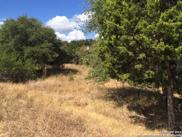 318 Gallagher Drive Canyon Lake TX 78133