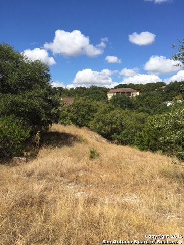318 Gallagher Drive Canyon Lake TX 78133