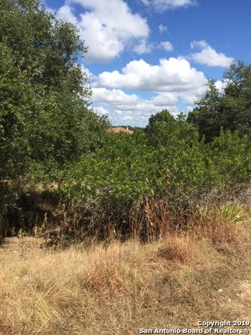 318 Gallagher Drive Canyon Lake TX 78133